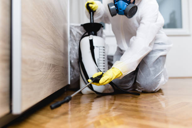 Best Local Pest Control Services  in Raymond, WI