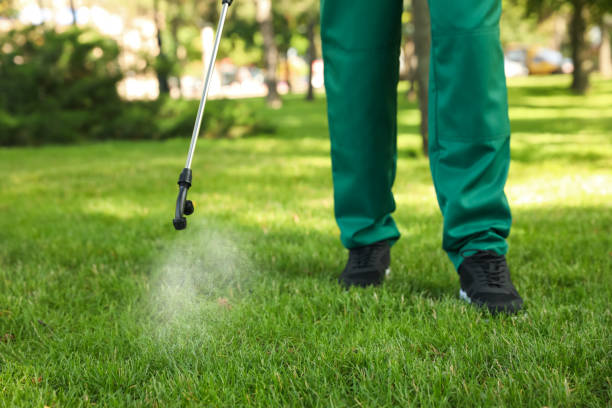 Best Rat Extermination Near Me  in Raymond, WI