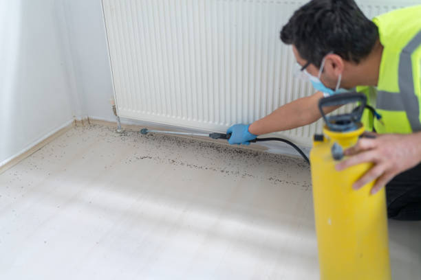 Best Pest Control Treatment  in Raymond, WI