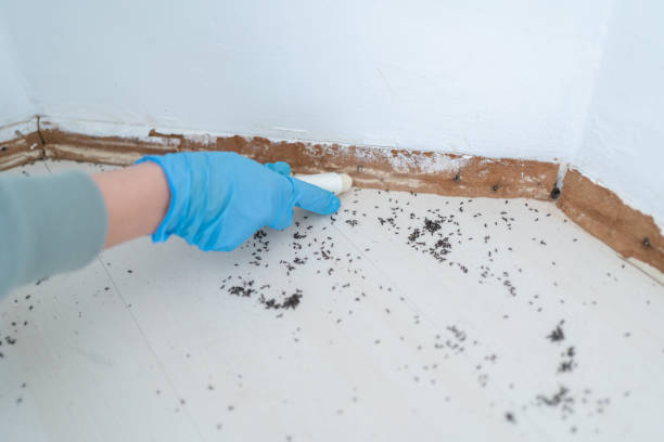 Best Affordable Pest Control Services  in Raymond, WI
