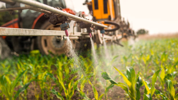 Pest Control Cost in Raymond, WI